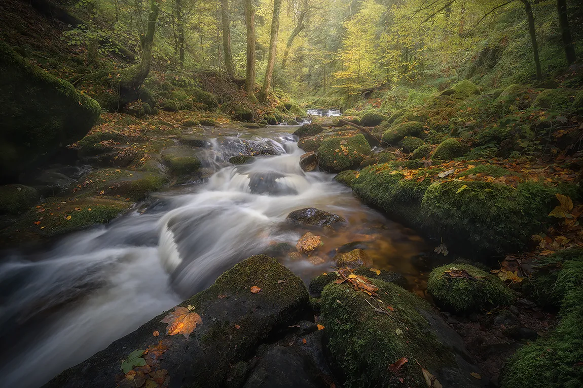 Where Autumn Flows, Geroldsbach, Baden Baden, Blackforest, Germany