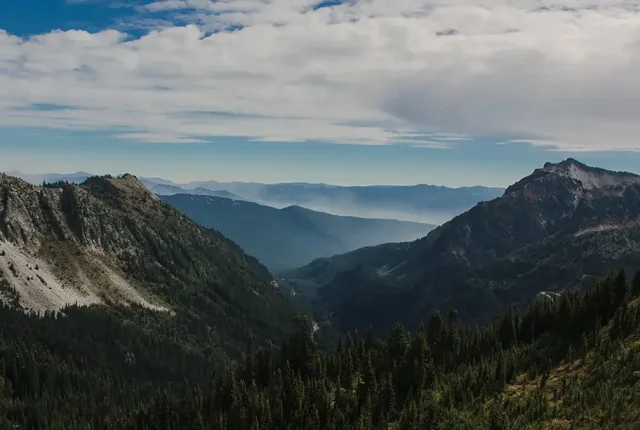 20 Miles Of Cascades, Ashford, Washington, USA