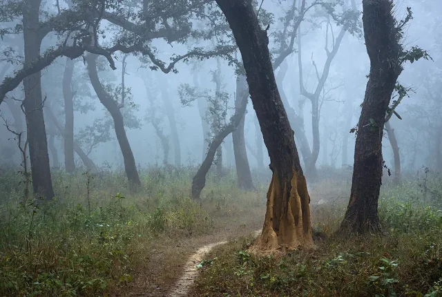 20 Thousand Islands, Chitwan National Park Buffer Zone, Sauraha, Nepal
