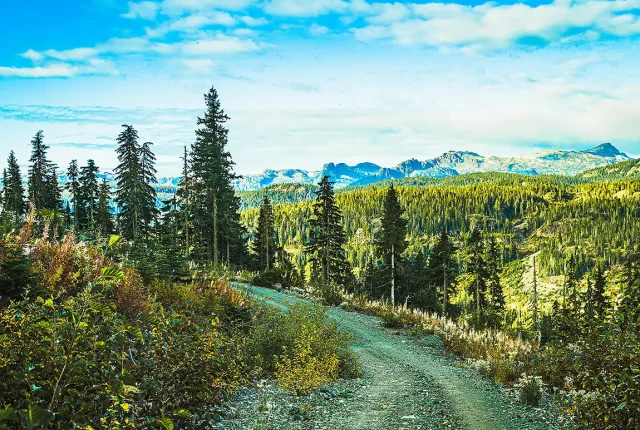 A Road Less Travelled, Comox Valley, Vancouver Island, BC, Canada