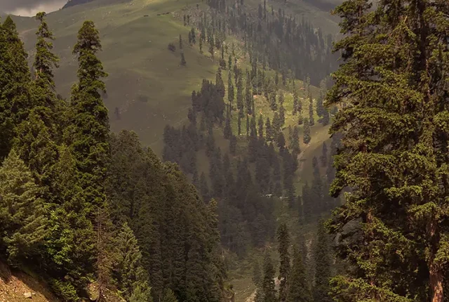 A Stretch Of Mughal Road, Shopian, JK, India