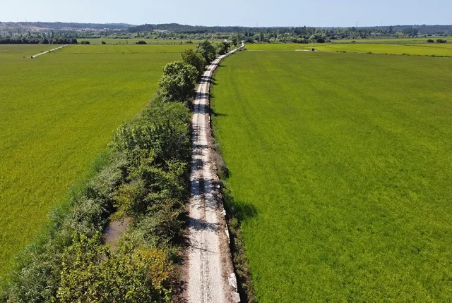 Above Rice Fields, Maiorca, Montemor o Velho, Coimbra, Portugal copy