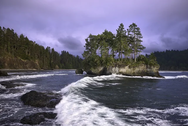 Against The Tide, Salt Creek Recreational Area, Olympic Peninsula, Washington, USA copy