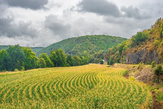 Amazing Field Lines, St Gery Midi Pyremees, France copy