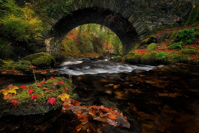 Atumnal Flow, Rydal, Lake District, Cumbria, England