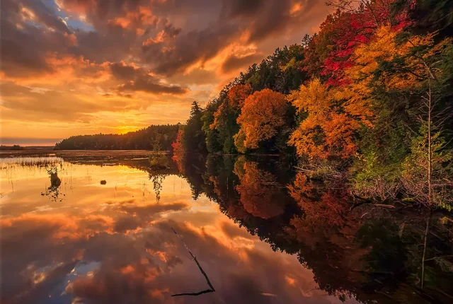 Au Sable River Golden Sunrise, Michigan, USA