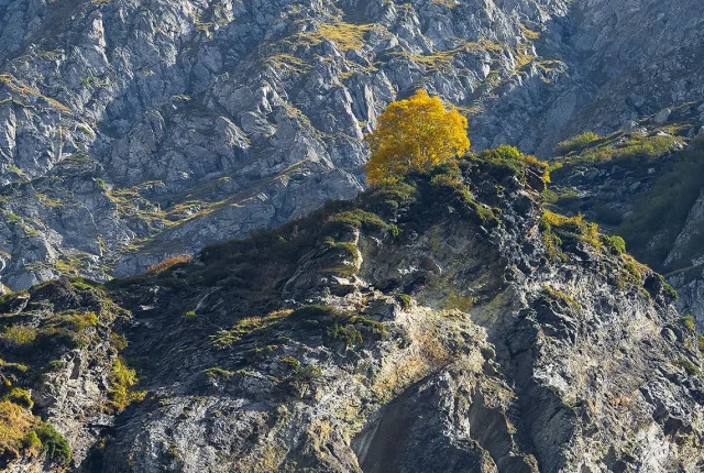 Autumn At The Summit, Vanoise, Savoy, Apls, France copy