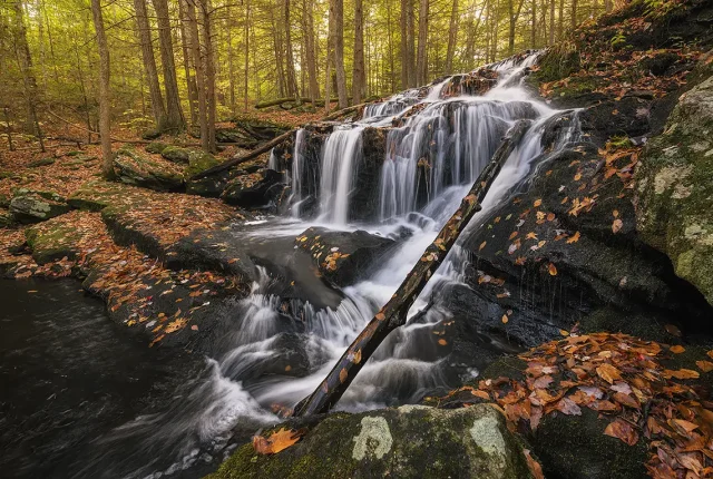 Autumn on tucker brook, tucker brook town forest, milford, new hampshire, usa