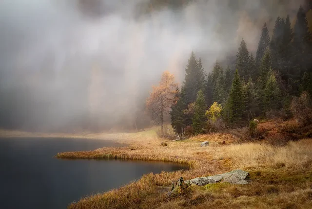 Autumn Silent Forest, Lake Nambino, Trentino, Italy