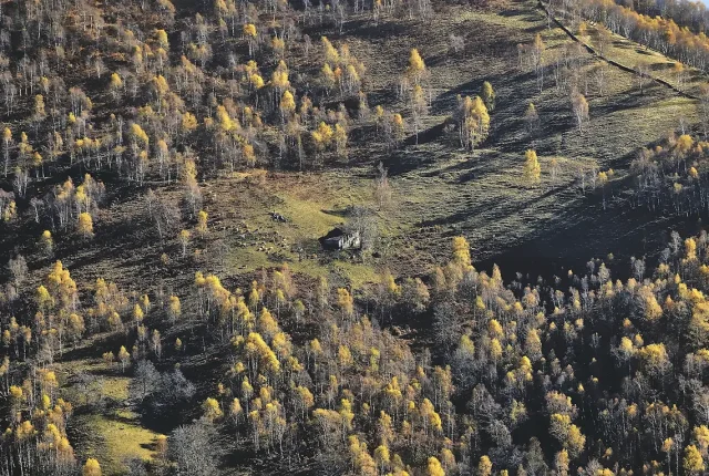 Autunno In Oasi Zegna, Italy