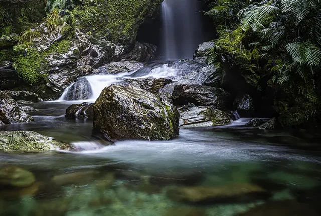 Baker creek, haast, west coast, new zealand
