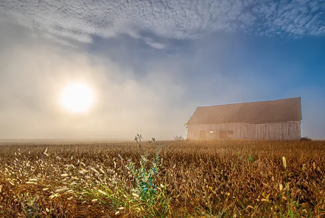 Barn in fog, st hilarion, charlevoix, quebec, canada