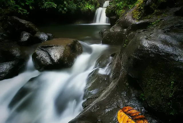 Bassin paradis, guadeloupe, france