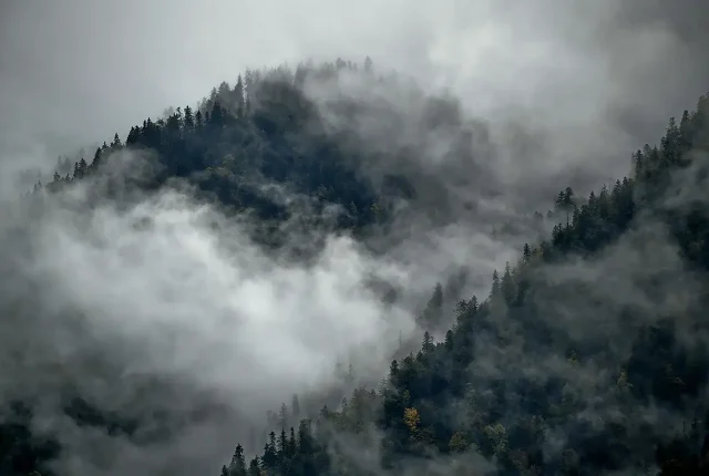 Bavarian alps fog, lake walchensee, bavaria, germany