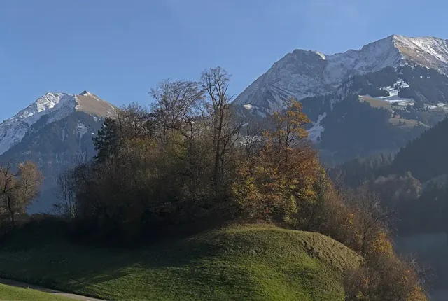 Beautiful Small forest, Erlenbach Im Simmental, Niedersimmental, Bern, Switzerland