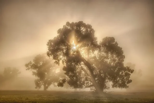 Benalla victoria australia