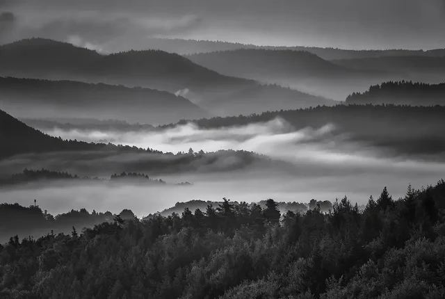Between day and dream, palatinate forest, rhineland palatina, germany