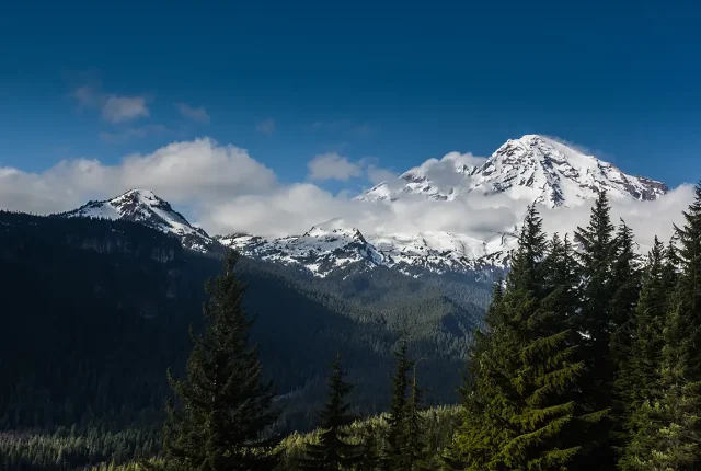 Bigger Than Rainier, Rampart Ridge Near Ashford, Washington, USA