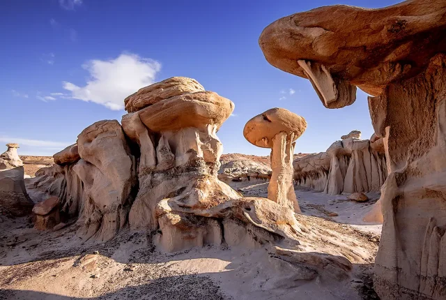 Bisti Badlands, New Mexico, USA
