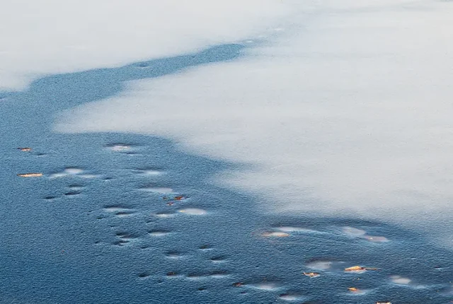 Bluish thaw line in pond, parc des etangs a charlebois, sainte julie, quebec, canada