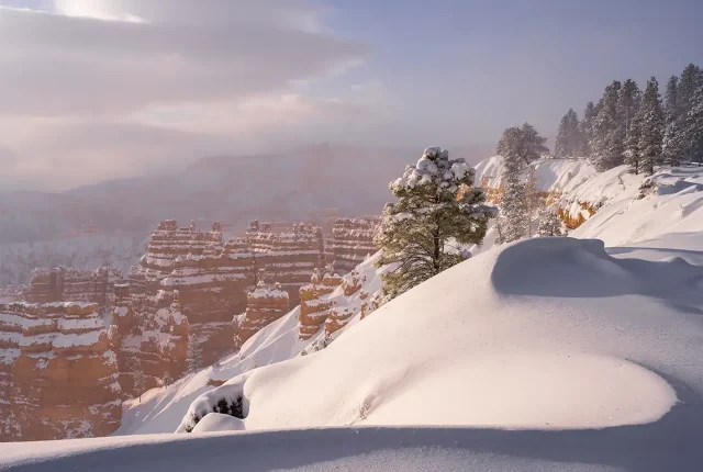 Bryce Canyon Awakening, Utah, USA