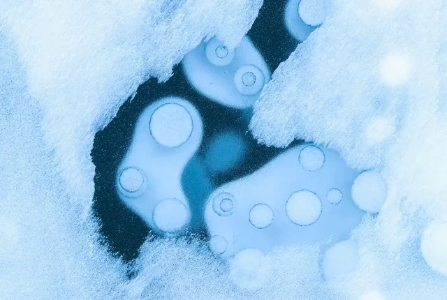Bubble art abstract, abraham lake, alberta, canada