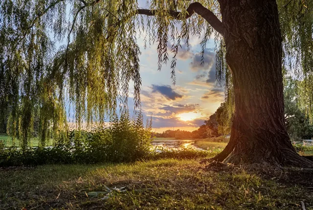 Chicago Botanic Garden Sunset, Glencoe, Illinois, USA