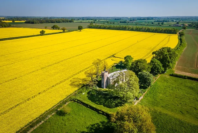 Church and rapeseed fields, kimberley, norfolk, england