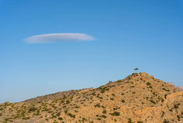 Cloud And Tree, Jebel Hat, Oman