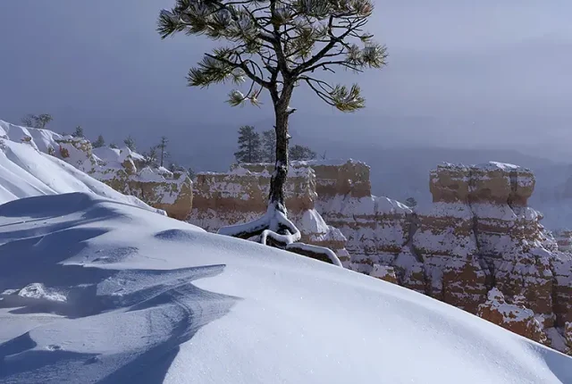 Cold Curve, Bryce Canyon National Park, Utah, USA