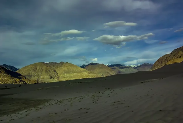 Cold Desert, Nubra Valley, Leh, India