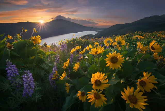 Columbia river gorge oregon usa