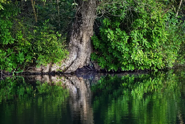Cool Lake Reflection, BR Hills, Mysore, India