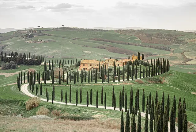 Country Road, Agriturismo Baccoleno, Tuscany, Italy