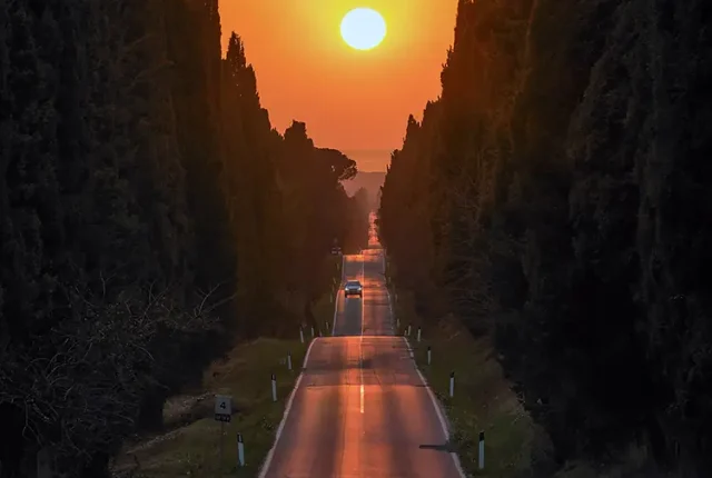 Cypresses Avenue, Bolgheri, Tuscany, Italy