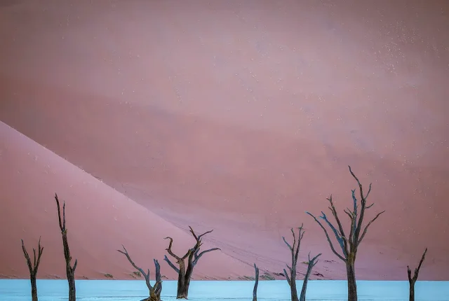 Deadvlei Ghost Trees, Sossusvlei, Namibia