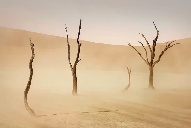 Deadvlei Sandstorm, Sossusvlei, Namibia