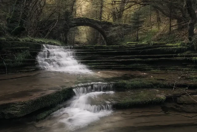 Deep Into The Forest, Dovri Bridge, Zagori, Epirus, Greece