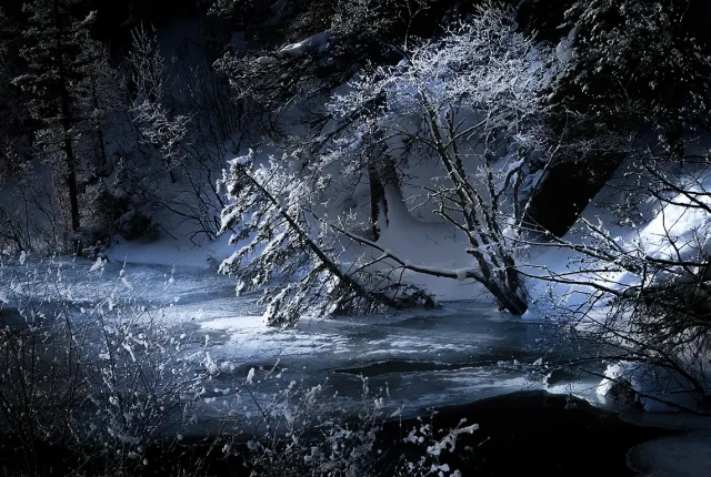 Delight At Hyalite Canyon, Bozeman, Montana, USA