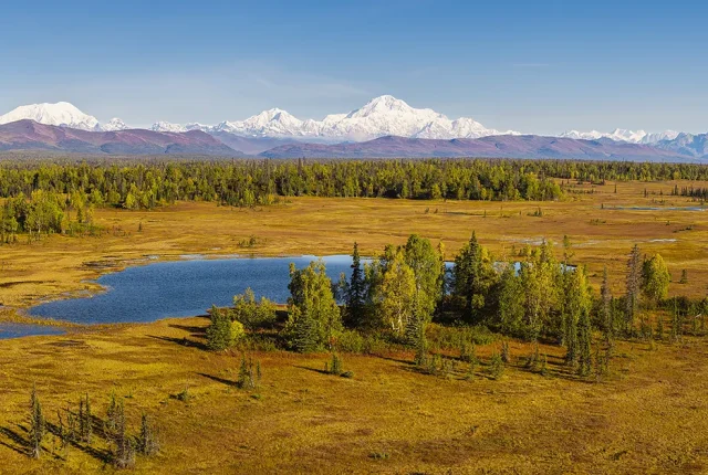 Denali Autumn, Petersville, Alaska, USA