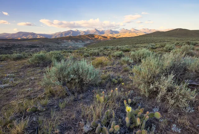 Desert Foothills, Beaverhead Mountains, Salmon, Idaho, USA