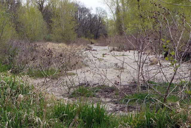Desert Lame, Lame del Sesia, Albano Vercellese, Italy