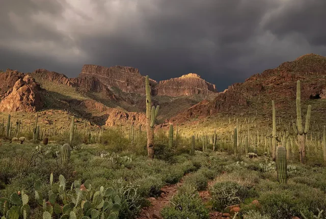 Desert Storm, Superstition Mountains, Gold Canyon, Maricopa County, Arizona, USA