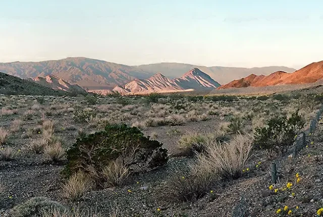 Desertscape, Stovepipe Wells, Death Valley National Park, CA, USA