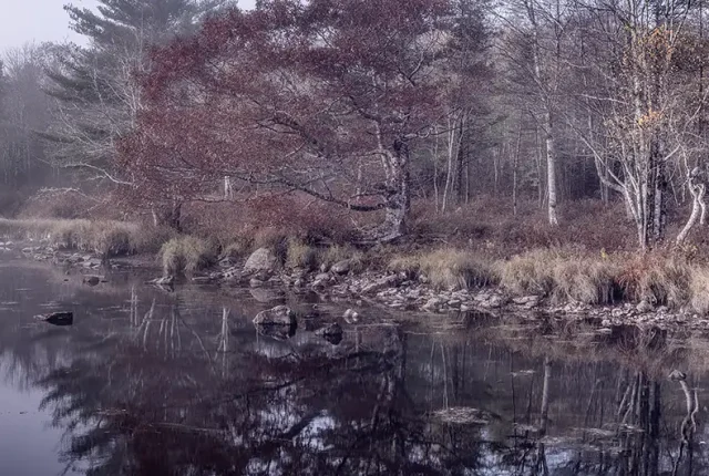 Dragons By The River, Quinan, Yarmouth County, Nova Scotia, Canada