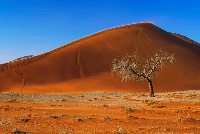 Dune 45, Sossusvlei, Namibia