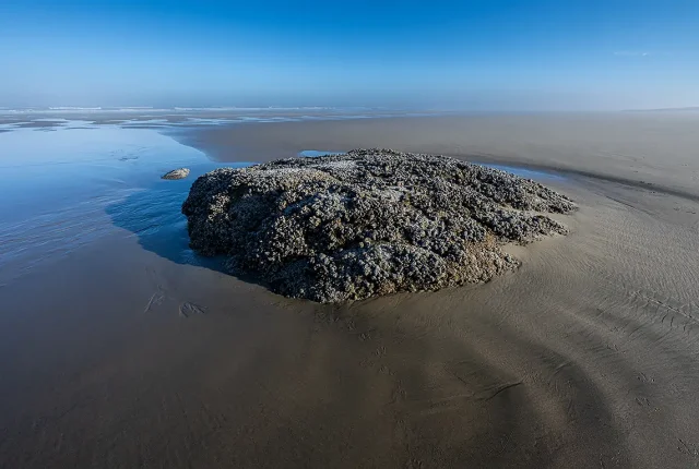 Early morning coastal solitude, yachats, oregon, usa