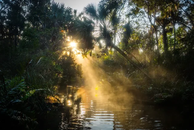 Early Morning On Baird Creek, Chassahowitzka River, Florida, USA