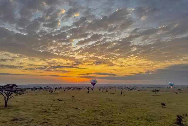 Early morning sunrise, serengeti national park, tanzania