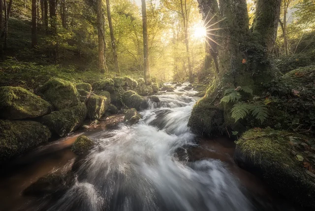Enchanting Streams, Gertelbachschlucht, Buhlertal, Baden Wurttemberg, Germany copy